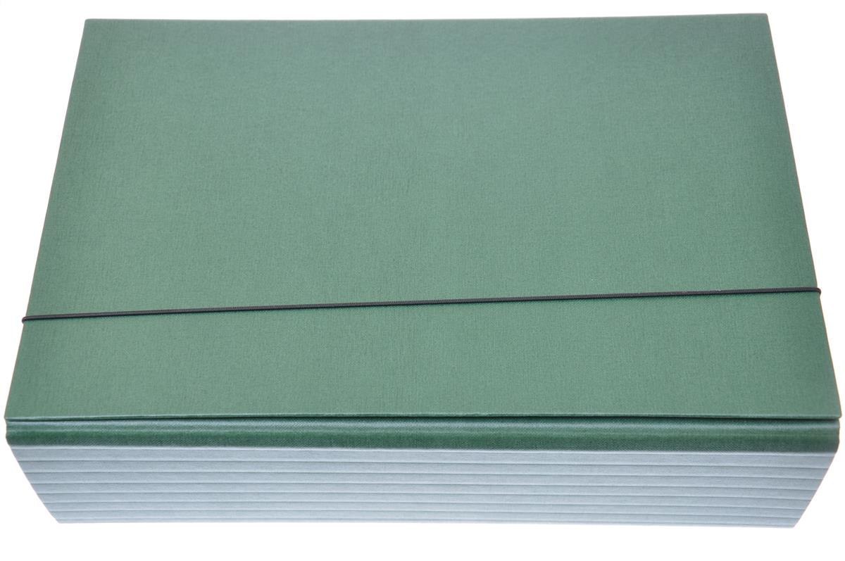 CARPETA A4 9 CM VERDE DOLFIN 953 CAKADO-DELFIN CON BORRADOR